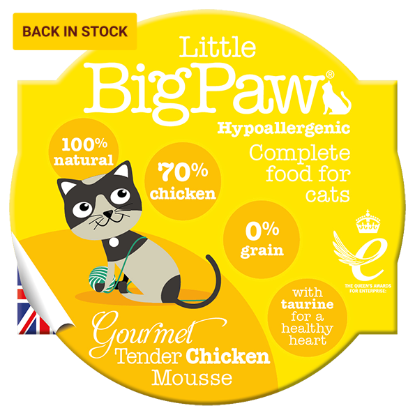英國Little Big Paw- 雞肉Mousse貓餐盒85g