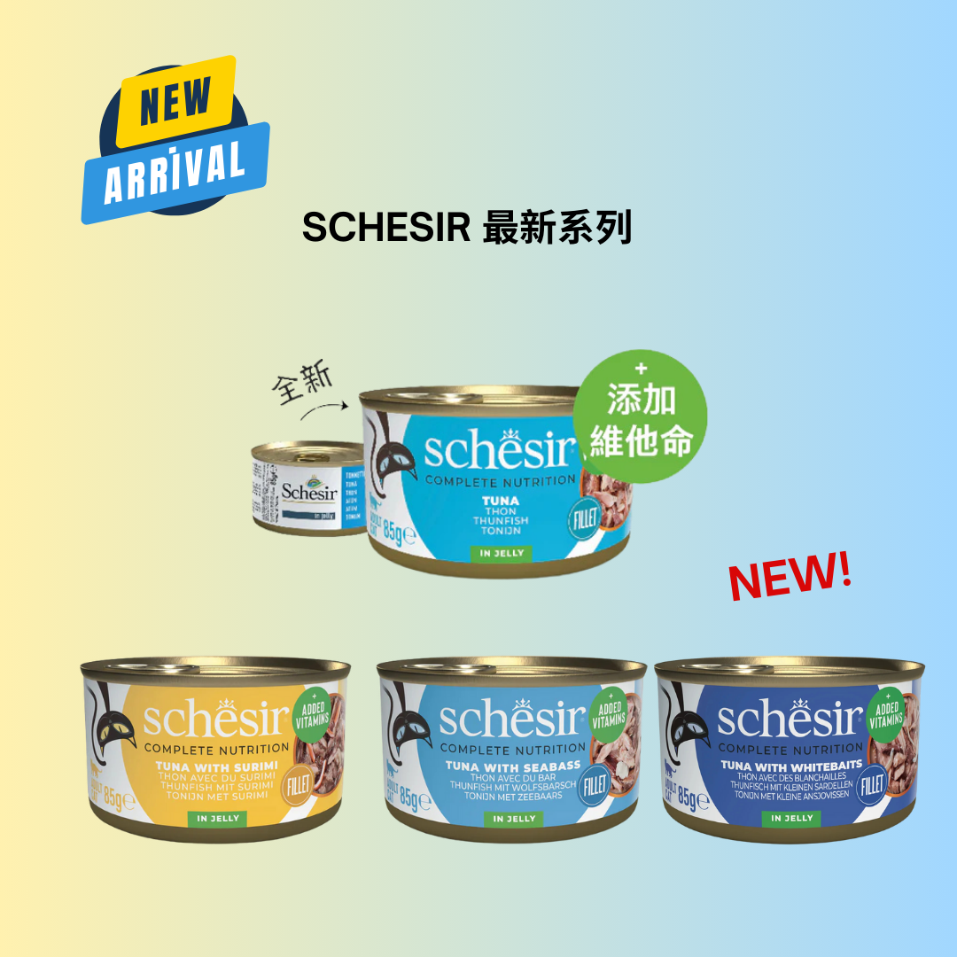 SCHESIR 最新系列