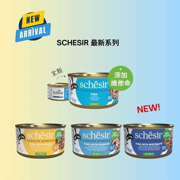 SCHESIR 最新系列