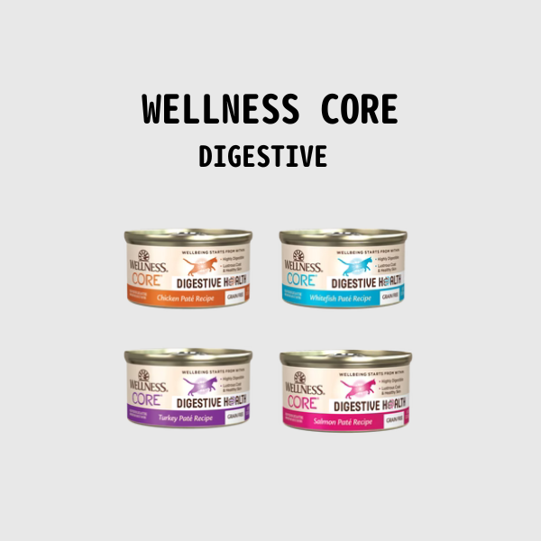 Wellness Core Digestive 貓罐