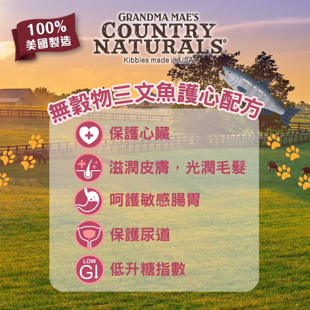 Country Naturals 低敏無穀物三文魚精簡配方全貓糧3