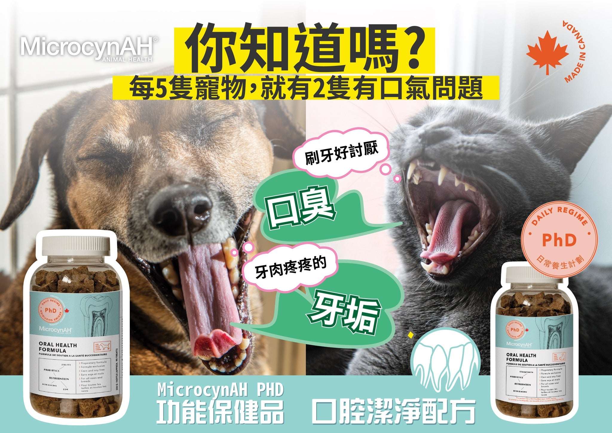 MicrocynAH 貓保健小食- 口腔潔淨配方 120g(93粒)