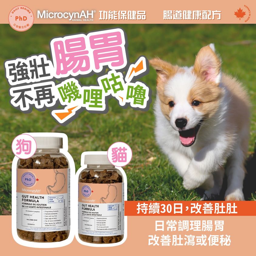 MicrocynAH 貓保健小食-腸道健康配方120g(93粒)