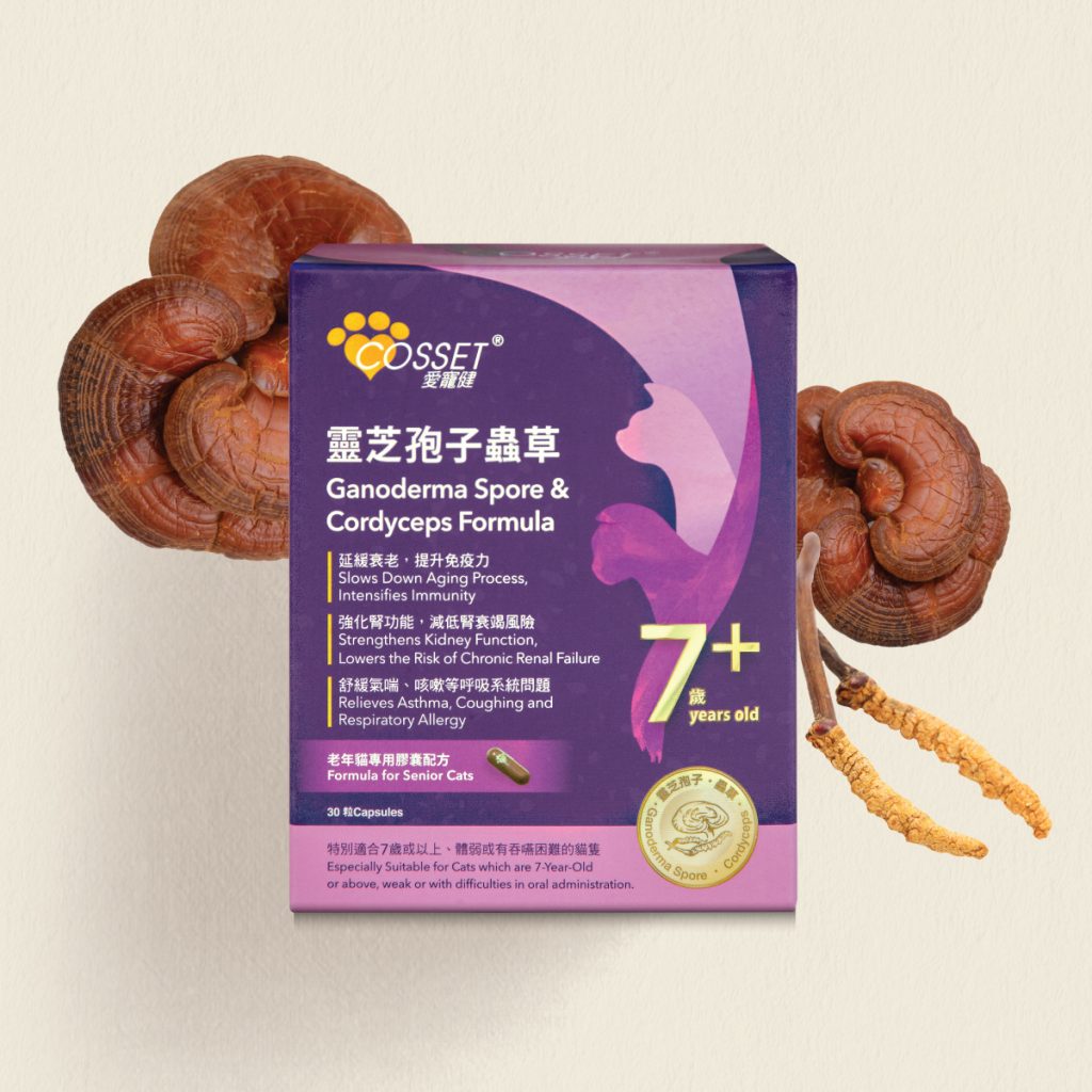 Cosset【愛寵健】靈芝孢子蟲草老年貓專用配方 30粒