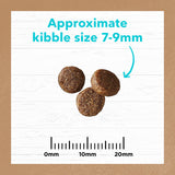 IVORY COAT 澳洲幼貓乾糧 - 無穀物 深海魚三文魚配方 2kg