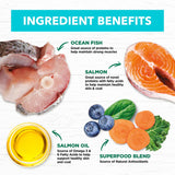 IVORY COAT 澳洲幼貓乾糧 - 無穀物 深海魚三文魚配方 2kg