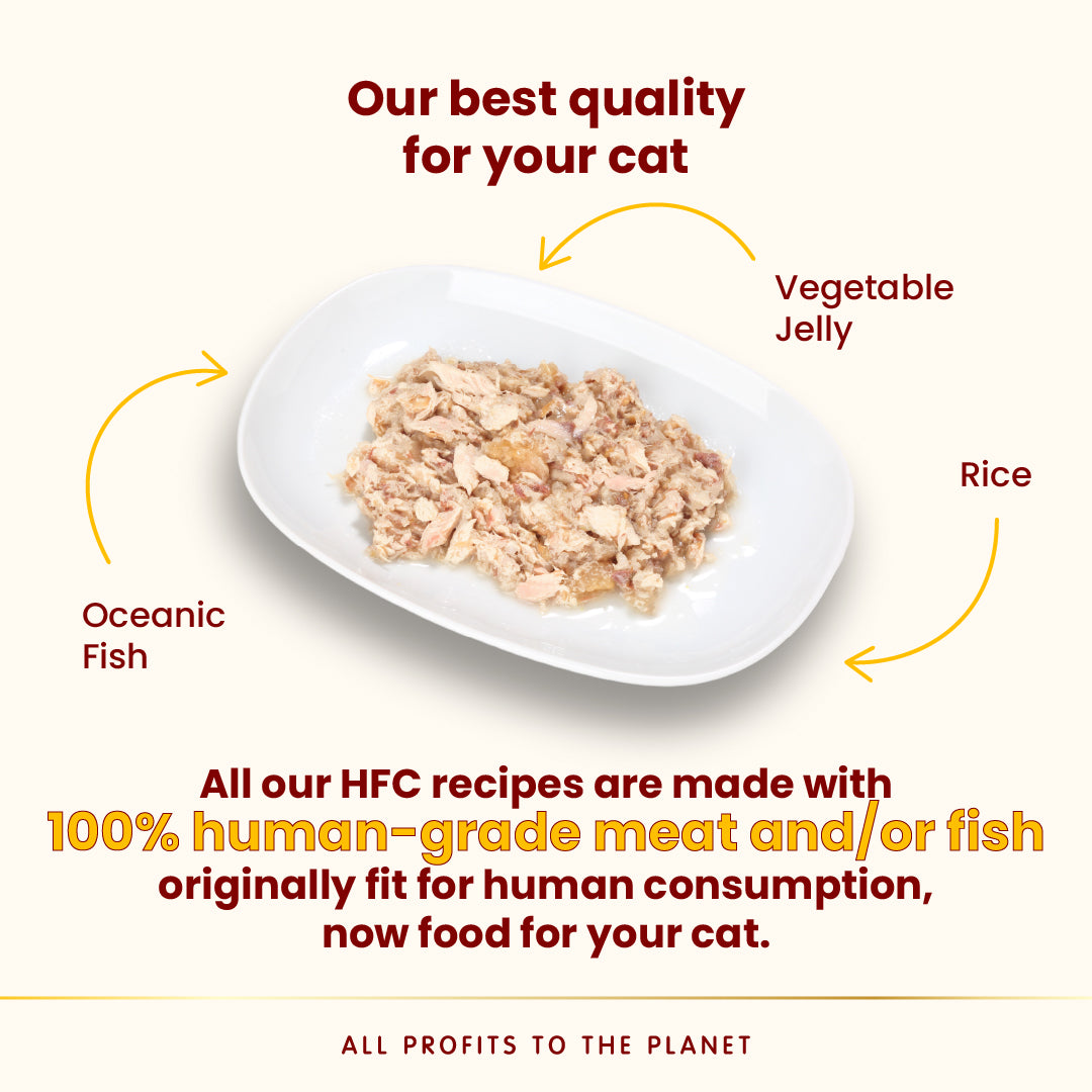 Almo Nature HFC罐頭- 深海魚70g