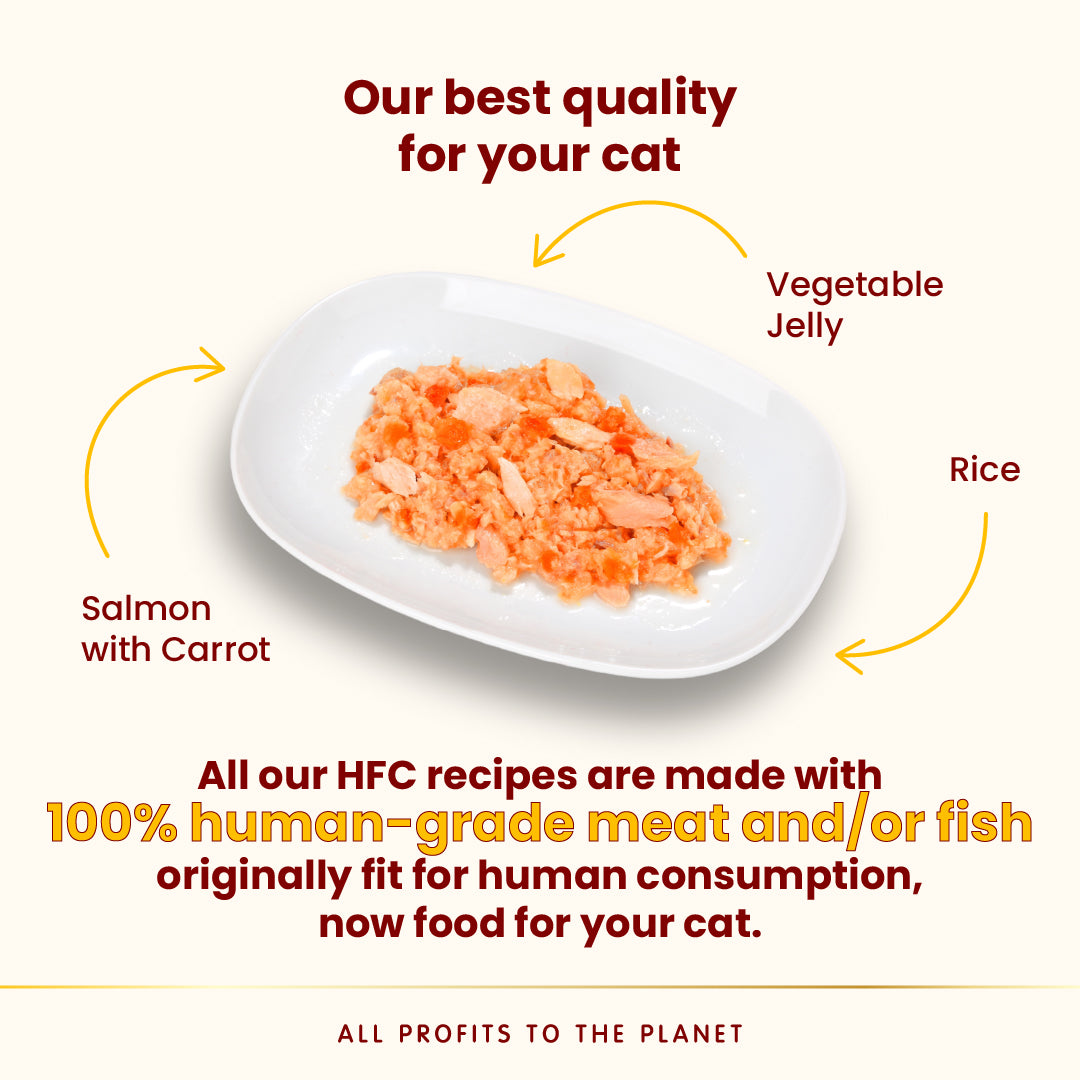 Almo Nature HFC罐頭-   三文魚胡蘿蔔(啫喱)70g