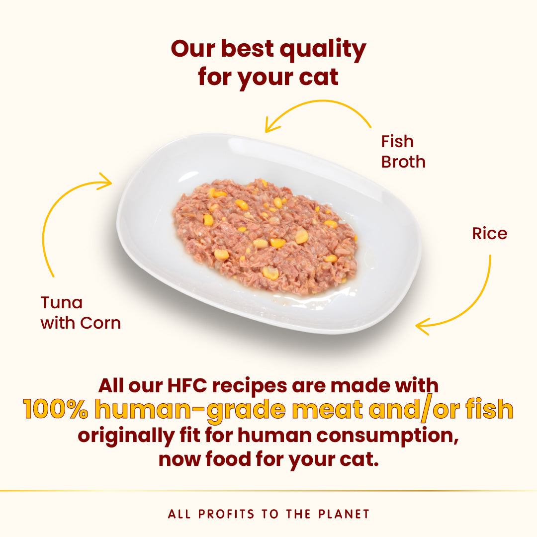 Almo Nature HFC罐頭-   玉米吞拿魚70g