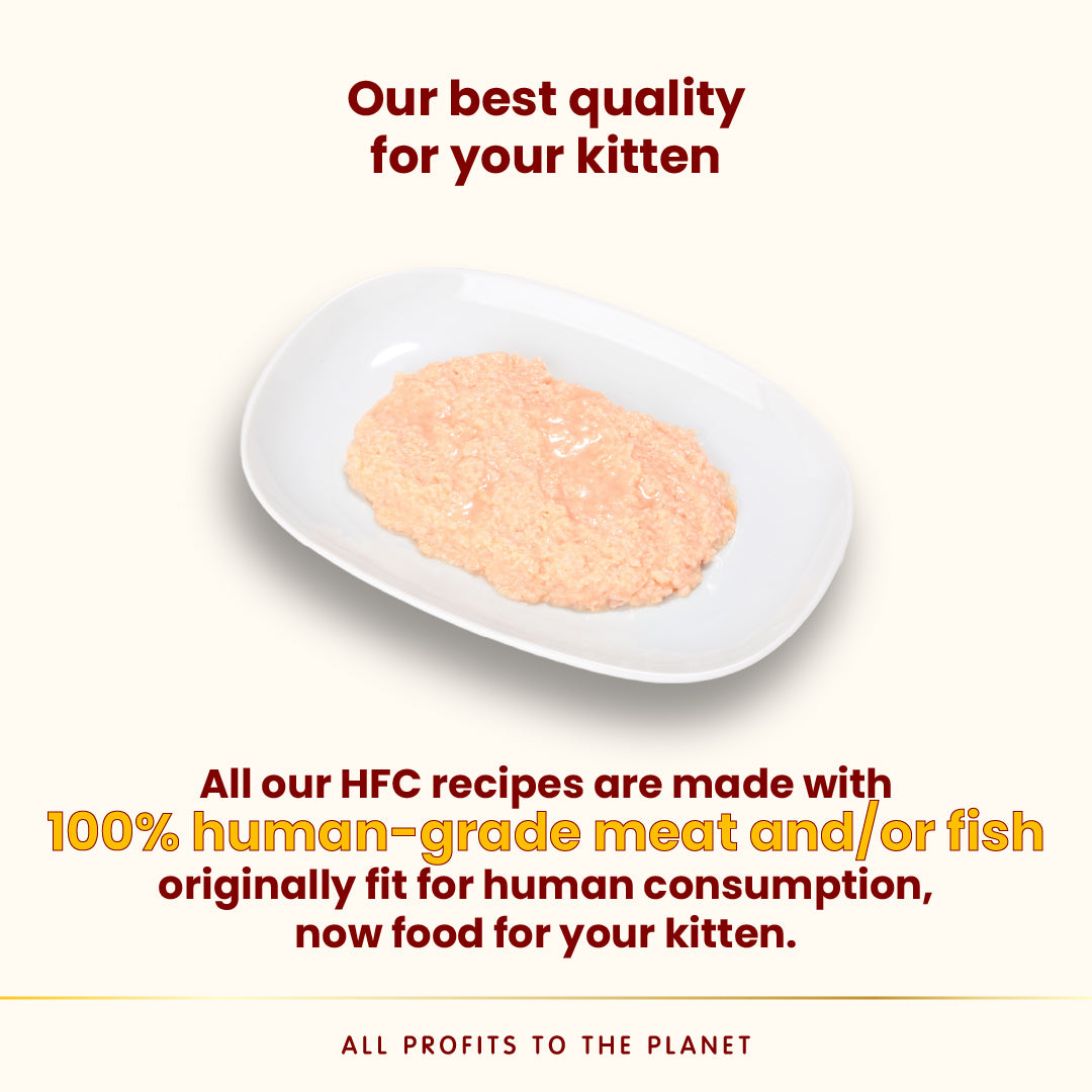 Almo Nature貓罐- 幼貓雞肉70g