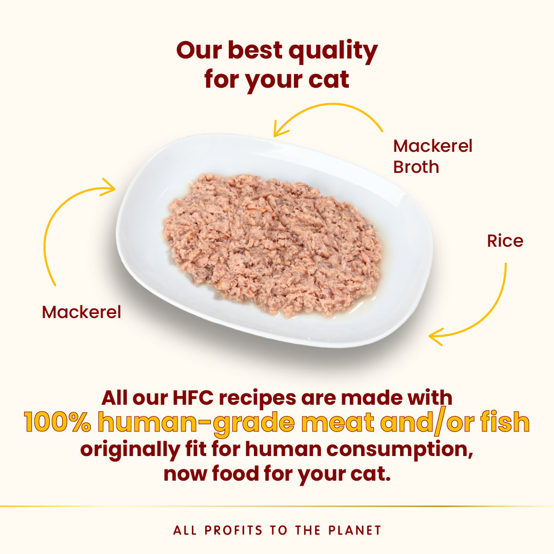 Almo Nature HFC Highly Appetizing [開胃精萃鮮燉包] – 鯖魚配方 50g