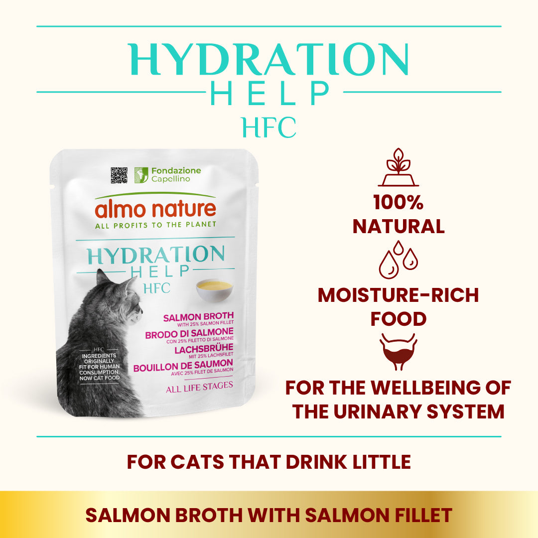 Almo Nature Hydration Help [水潤護理鮮湯包] -三文魚湯+三文魚肉50g