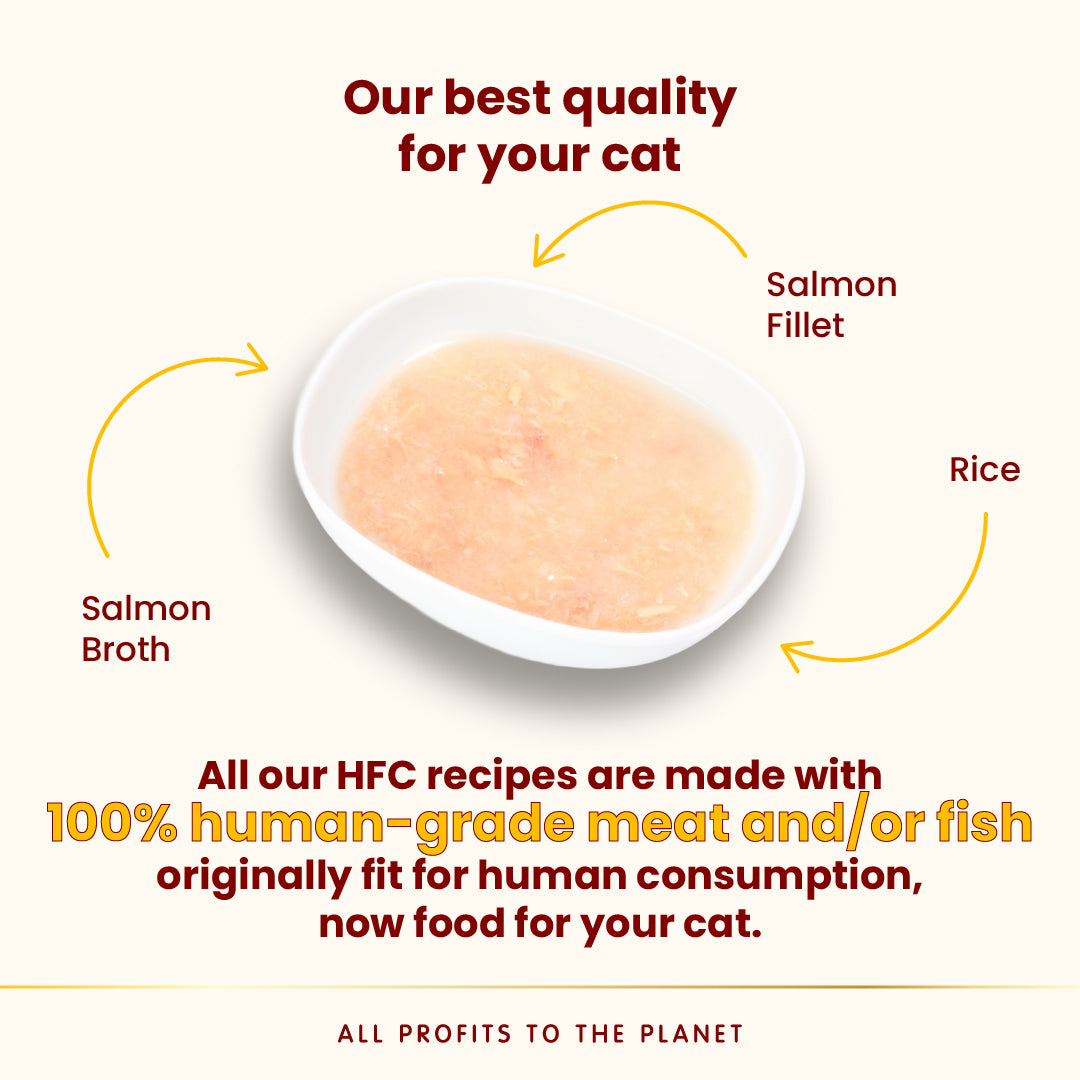 Almo Nature Hydration Help [水潤護理鮮湯包] -三文魚湯+三文魚肉50g