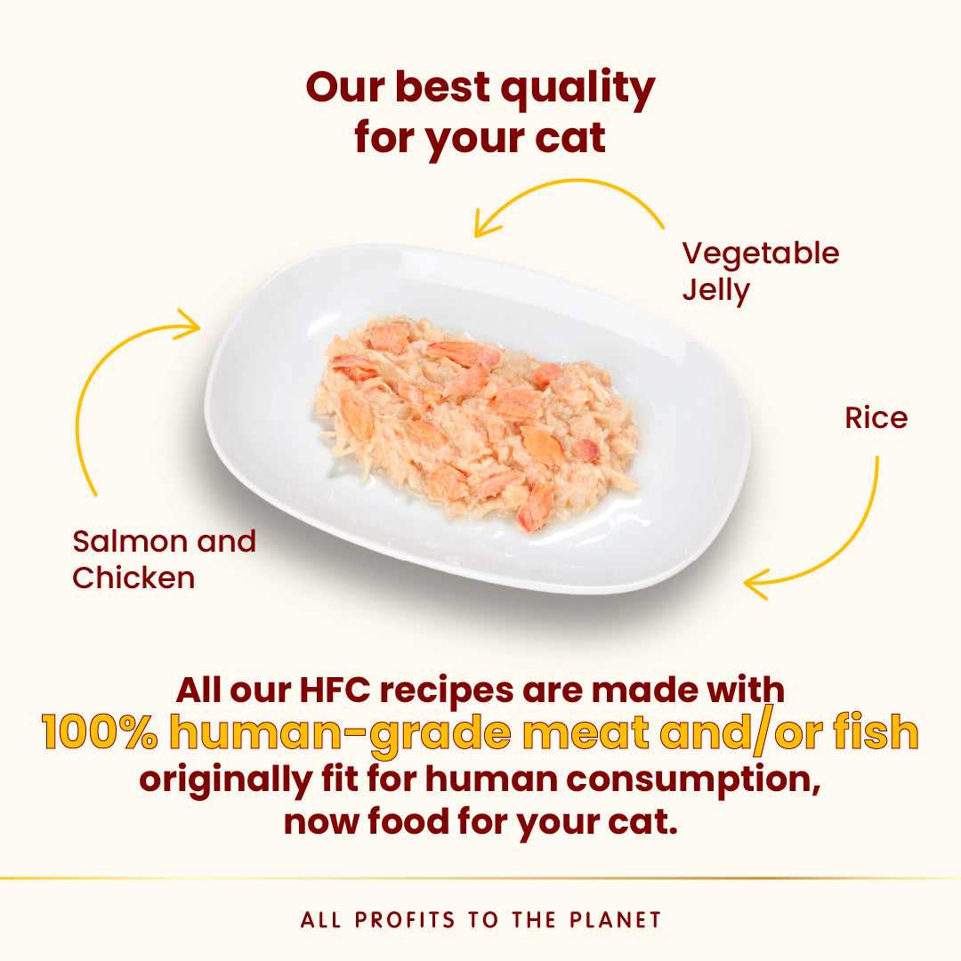 Almo Nature HFC 貓罐-   三文魚雞肉(啫喱)70g