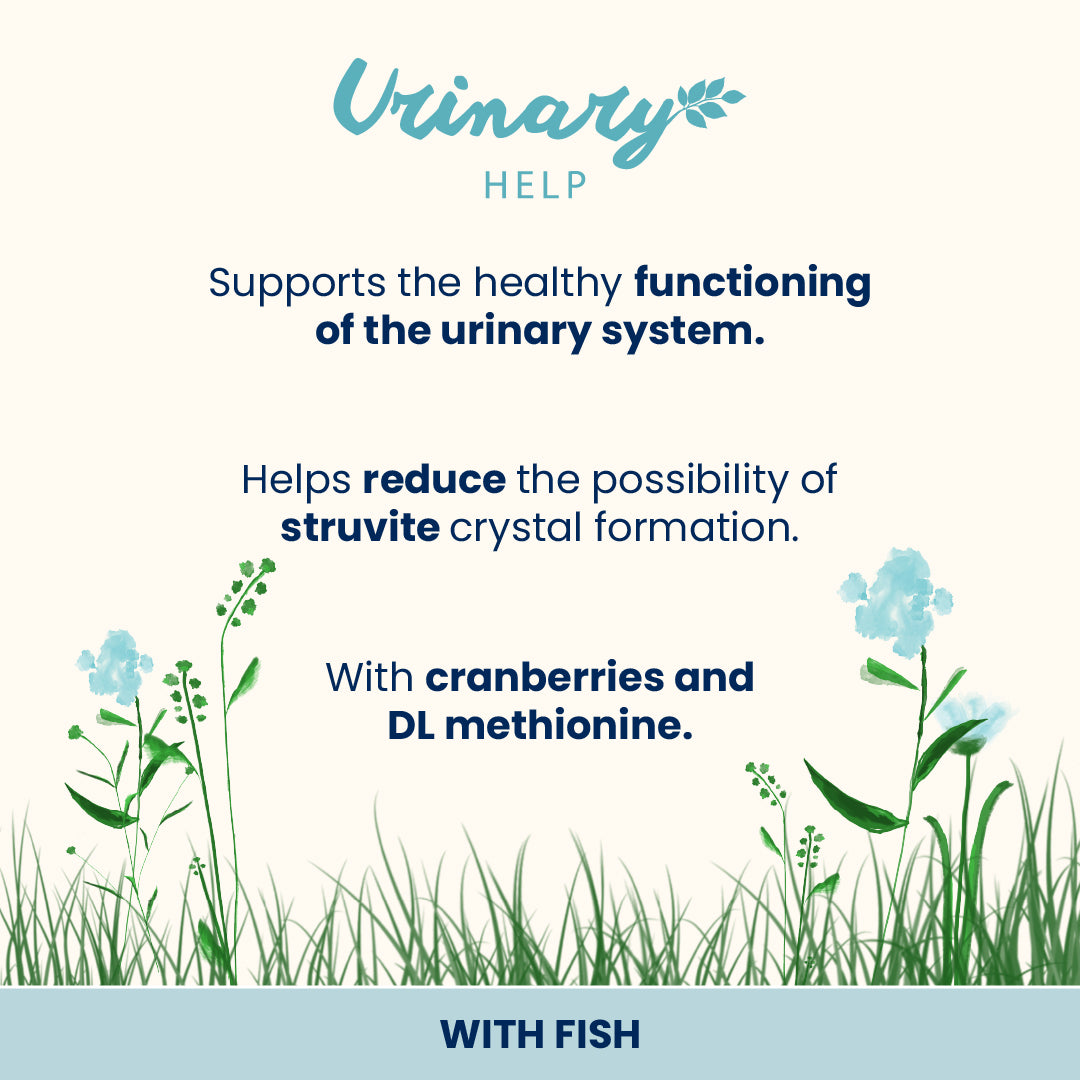 Almo Nature Urinary Help  - 尿道護理鮮包 (鮮魚)70g