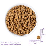 Wellness CORE貓糧-無穀物火雞拼鴨肉配方5lb