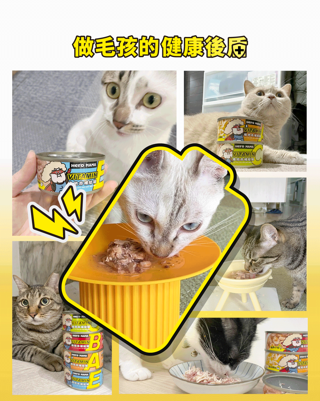 HeroMama維他命補給罐 [鮪魚小蝦(維他命B群添加80g]