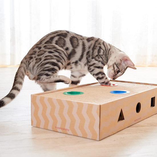 GARI GARI -玩樂貓爪方盒