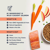 Instinct本能 - 無穀物三文魚貓乾糧配方 10LB [Exp Date: May 2027] New Packaging