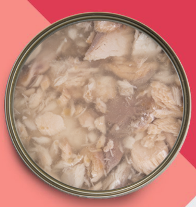 Kakato卡格 - 三文魚、魚湯 (貓狗罐頭)170g