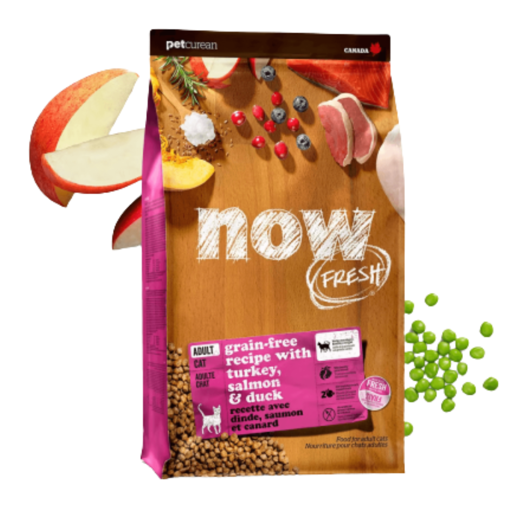 NOW FRESH 無穀物成年貓糧配方(16LB) [Flash Sale]
