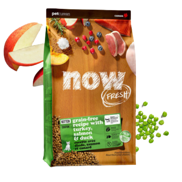 NOW FRESH 無穀物幼齡貓糧配 (16LB) [Flash Sale]