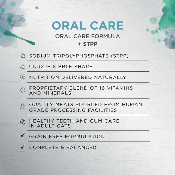 Ivory Coat 口腔護理成貓糧 [無穀物雞肉乾糧+生羊肉凍乾] 2kg  [近期促銷 Exp Date: 17Apr2026]