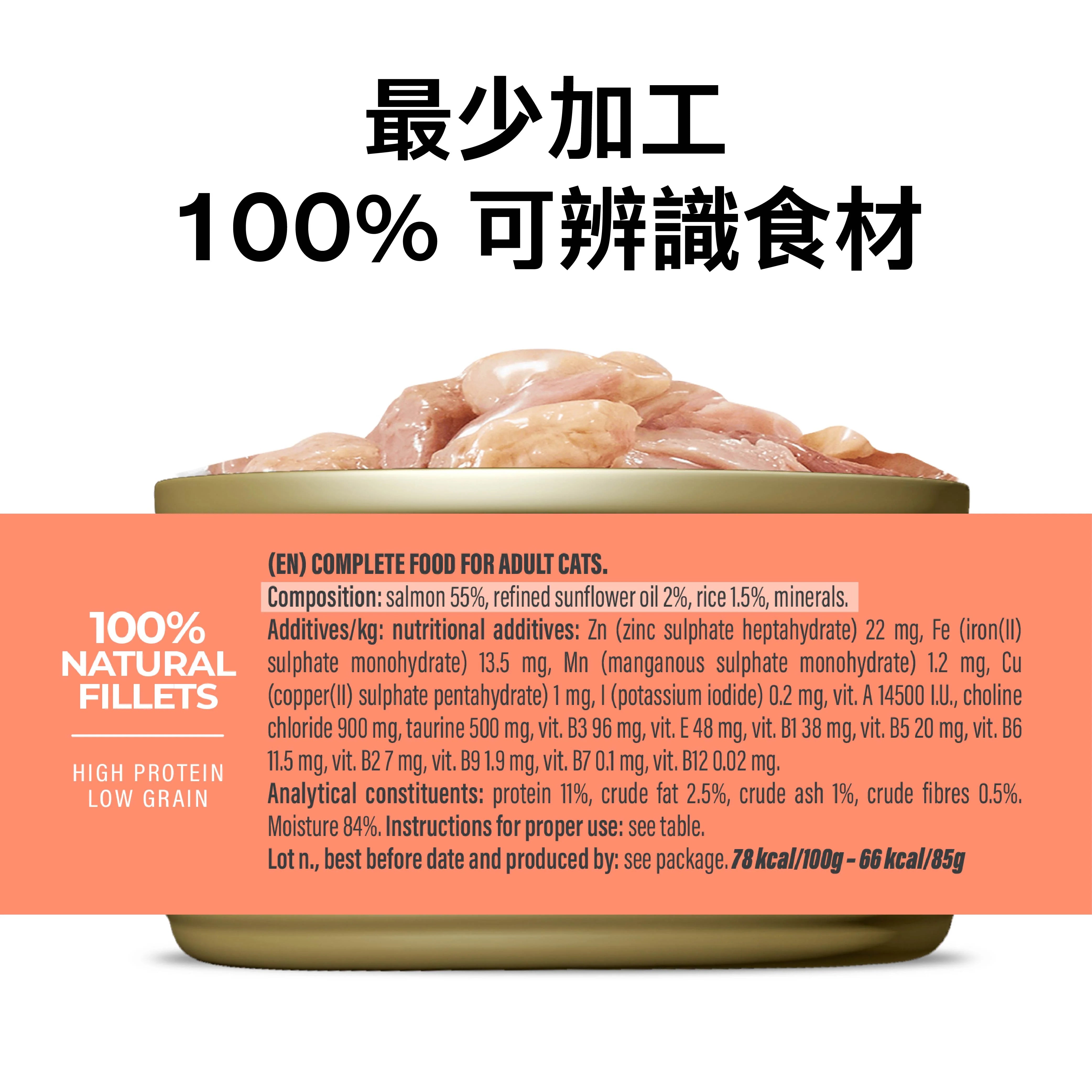 Schesir主食罐 -三文魚貓罐頭  [水煮]85g