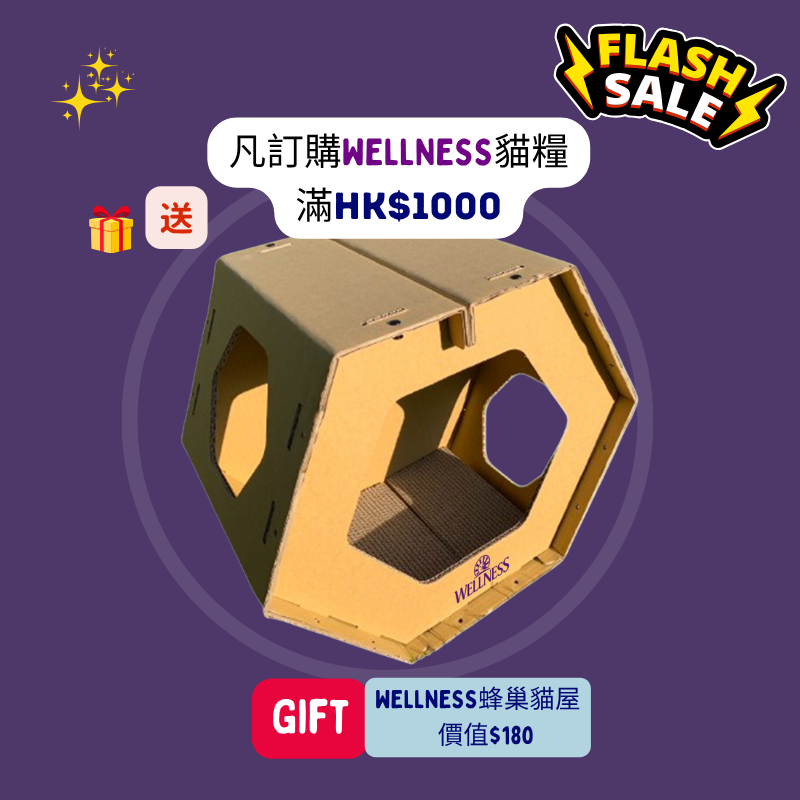 Wellness 蜂巢貓屋