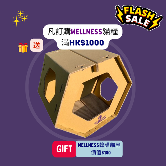 Wellness 蜂巢貓屋