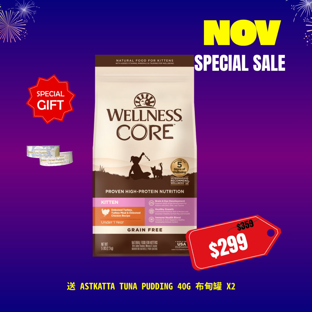 Wellness CORE幼貓糧- 無穀物幼貓配方  5lb [SPECIAL OFFER 送 Astkatta Pudding 40G 布甸罐 X2 ]