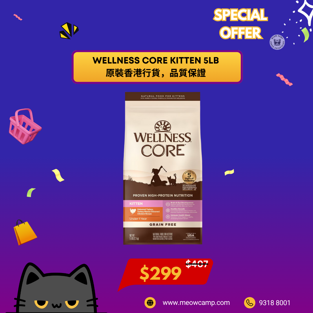 Wellness CORE幼貓糧- 無穀物幼貓配方  5lb [SPECIAL OFFER 送 Astkatta Pudding 40G 布甸罐 X2 ]