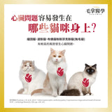 毛掌醫學 -  貓咪全方位/ 心血管健康 保養粉50g