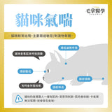 毛掌醫學 -  貓咪呼吸道氣管順暢保養粉50g