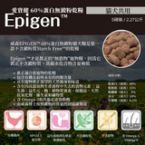 Wysong威森 Epigen™ 60%蛋白無澱粉貓犬糧5LB