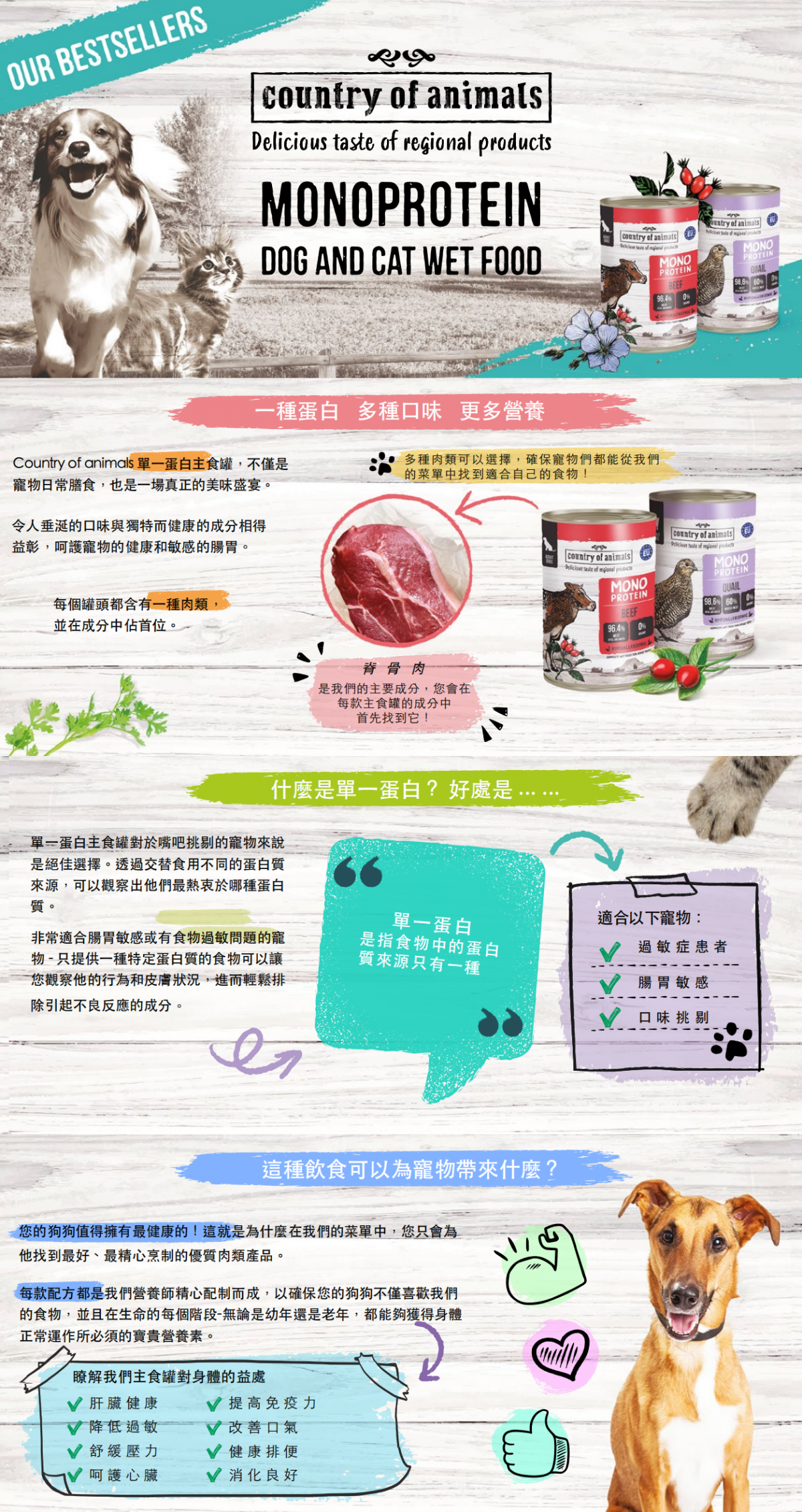 Country Of Animals - 單一蛋白[鴨肉]貓罐頭200g