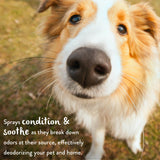 Tropiclean 爽身粉除臭噴霧 (寵物專用) - 236ml