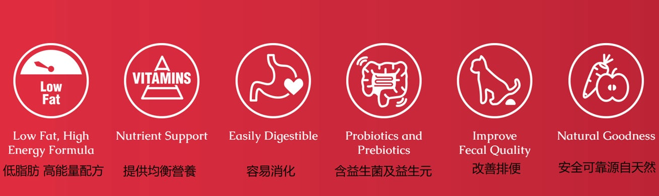 BRABANCONNE 爸媽寵：專業系列: 增強消化雞肉配方 [近期促銷 Exp Date: 19Jun2026]