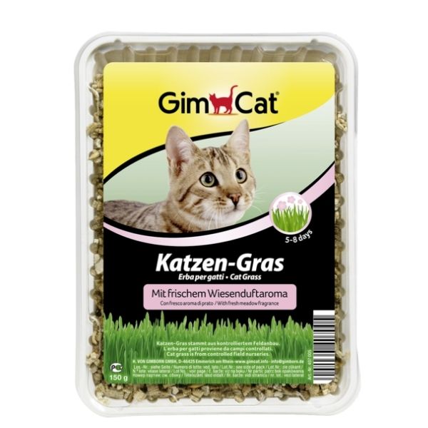 GimCat 香味貓草 150g