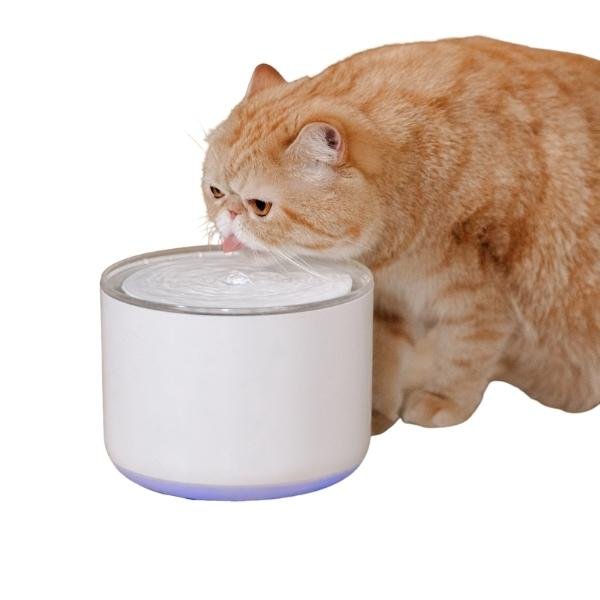 Miiibo 貓咪寶- 無線水泵寵物飲水機 (白色)