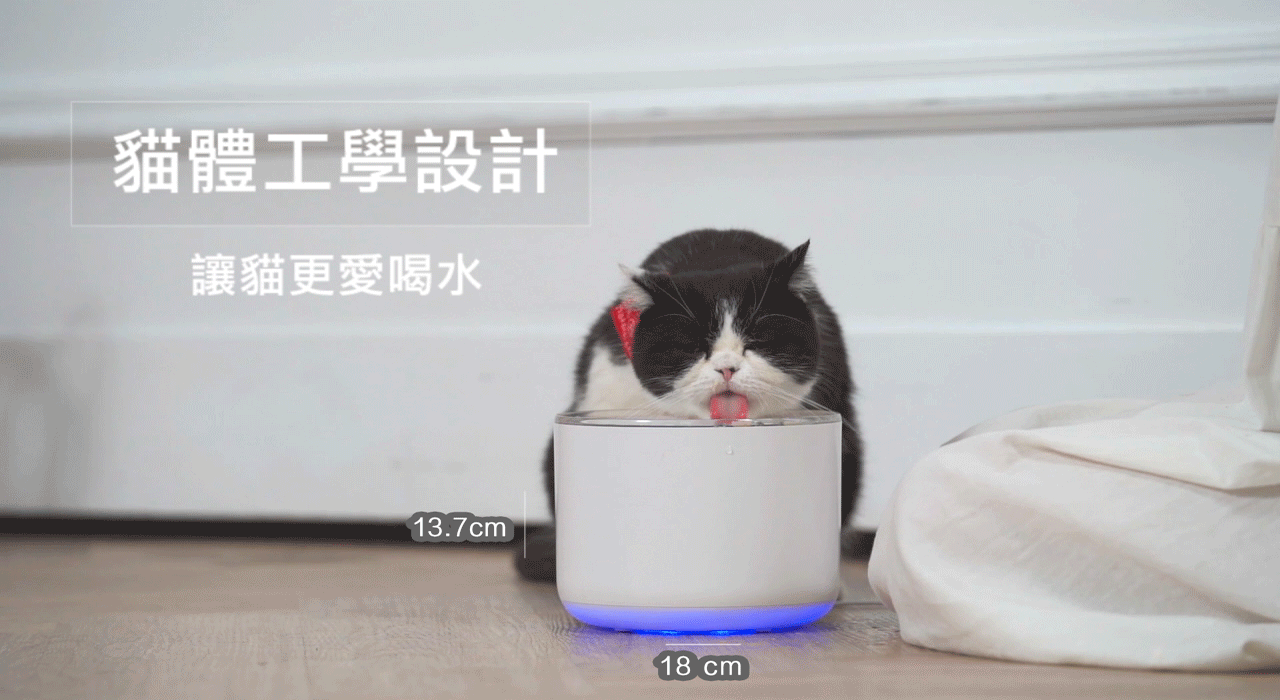 Miiibo 貓咪寶- 無線水泵寵物飲水機 (紫色)