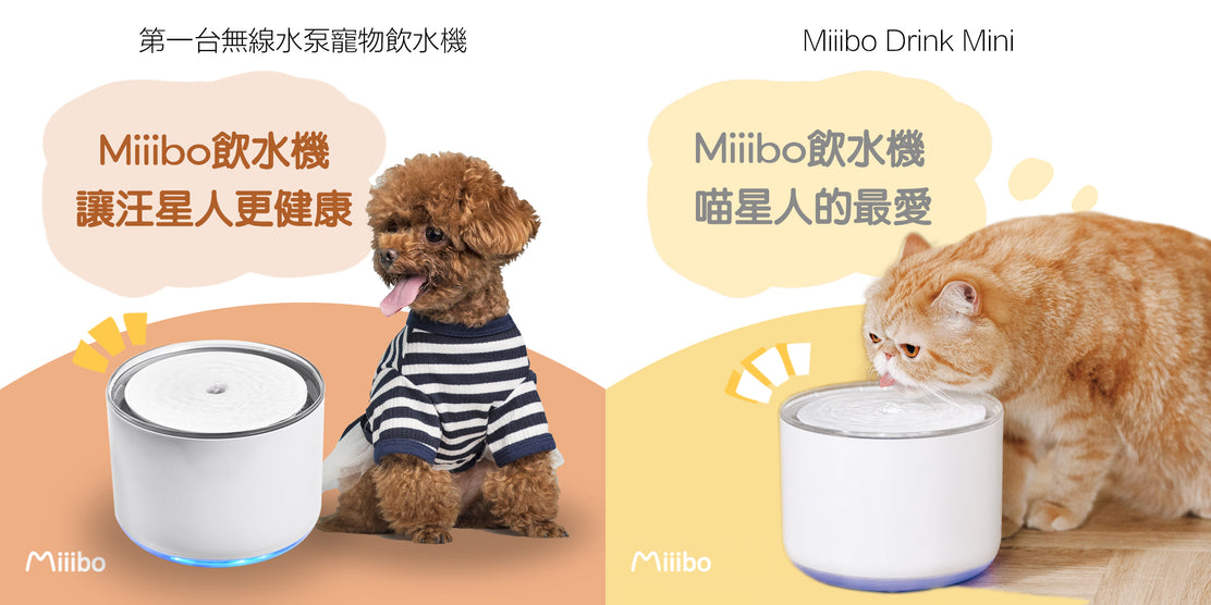 Miiibo 貓咪寶- 無線水泵寵物飲水機 (玫瑰粉)