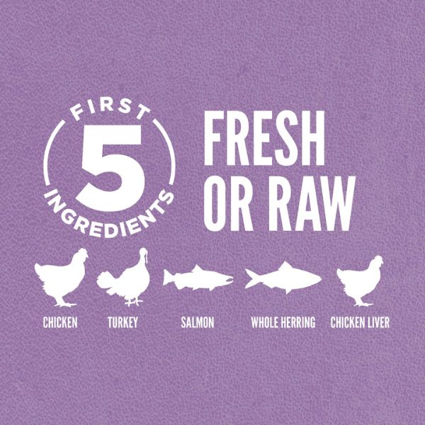 Orijen Kitten- [渴望]幼貓無穀物乾糧(雞肉+火雞+三文魚+鯡魚) 1.8kg_07